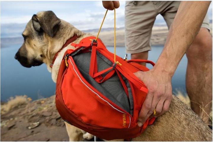Produktbild Ruffwear Palisades Pack (S, Hund)