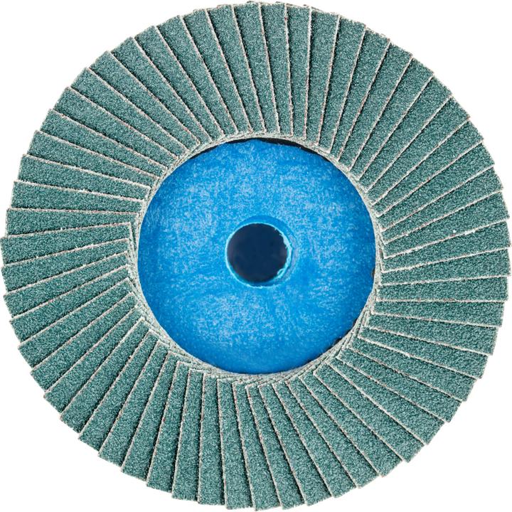 Image du produit Pferd Fächerschleifscheibe (80)