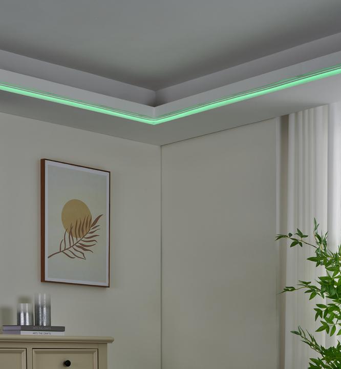 Actual product image EGLO Neon-stripe-z (500 cm, Indoor)