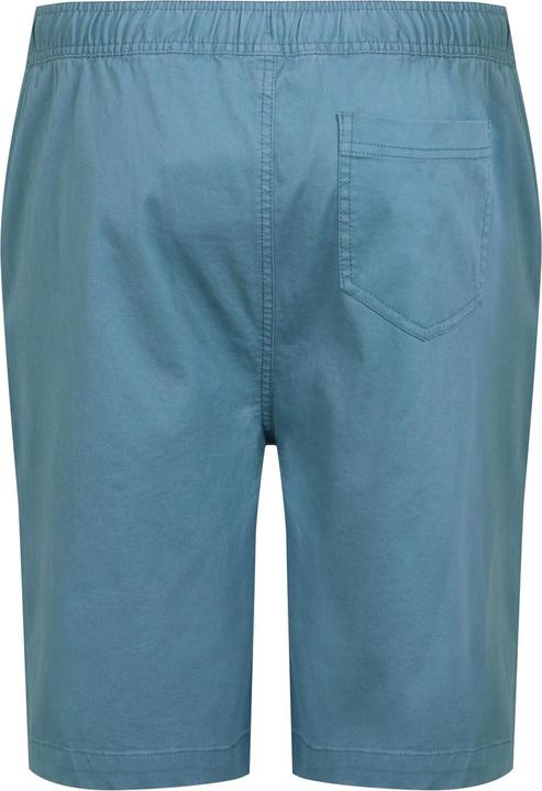 Actual product image Regatta Mens Aldan Chino Shorts (30)