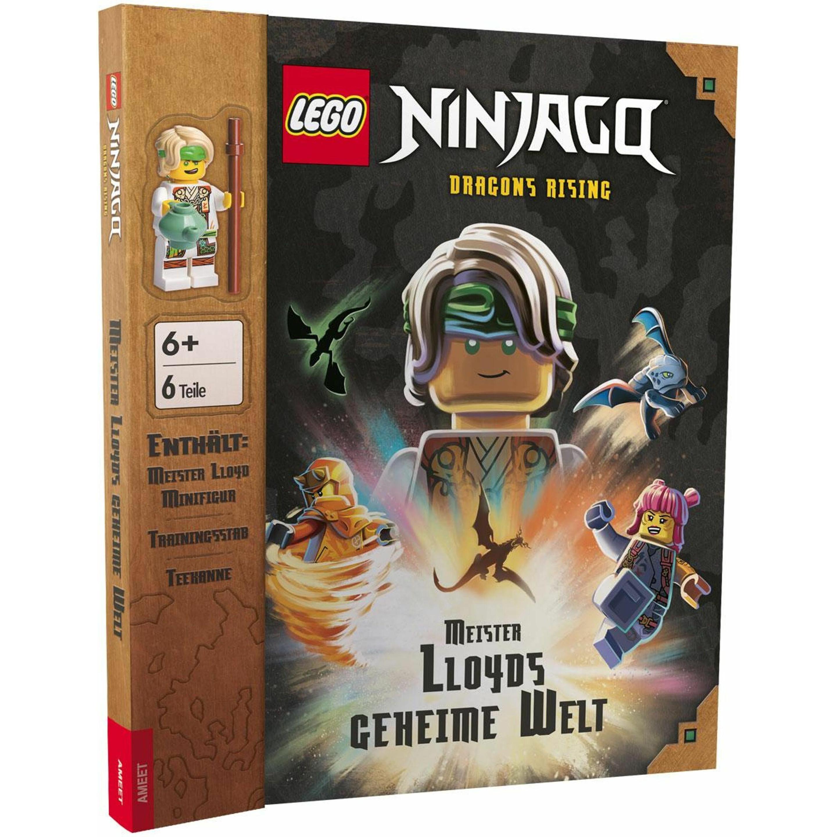 LEGO NINJAGO – Meister Lloyds geheime Welt, Kinderbücher