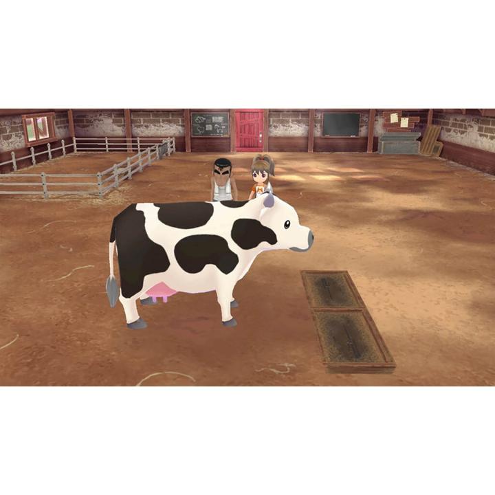 Produktbild Marvelous Story of Seasons: A Wonderful Life (Switch, EN)