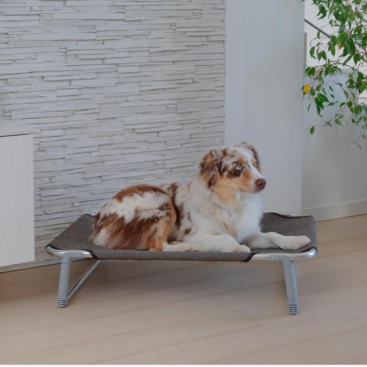 Image du produit Ferplast Rêve (Chien)