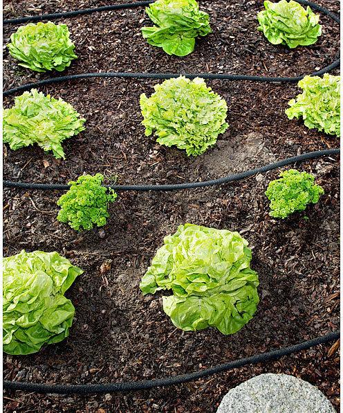 Immagine prodotto Royal Gardineer Tubo Perl incl. raccordi ad innesto rapido (12 m)