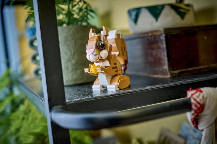 Actual product image LEGO Verspielter Welpe (31382, LEGO Creator Expert)