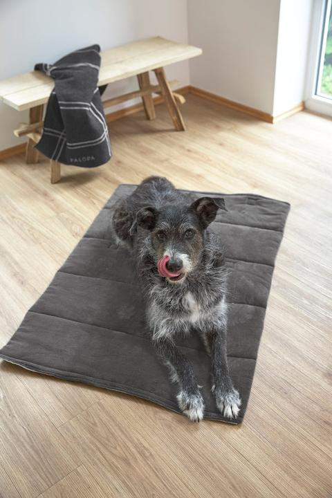 Immagine prodotto Palopa Alma (Cane)