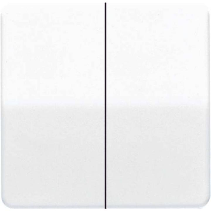 Produktbild JUNG Serienwippe