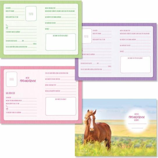 Actual product image Goldbuch Akira friend book (15 x 21 cm)