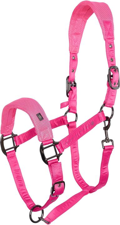 Actual product image Imperial Riding Cloud Dancer