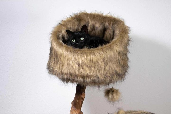 Actual product image Dobar Sunny (102 cm, Brown)