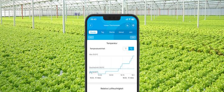 Produktbild Govee Bluetooth Thermometer Hygrometer with Screen