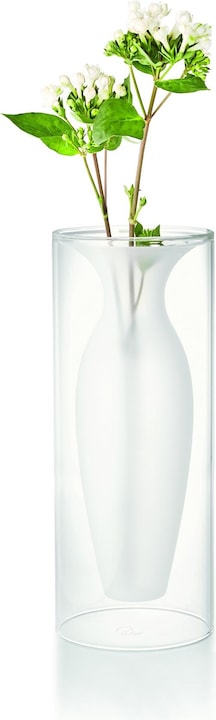 Immagine prodotto Philippi Esmeralda (1 x, 13 x 32 cm)
