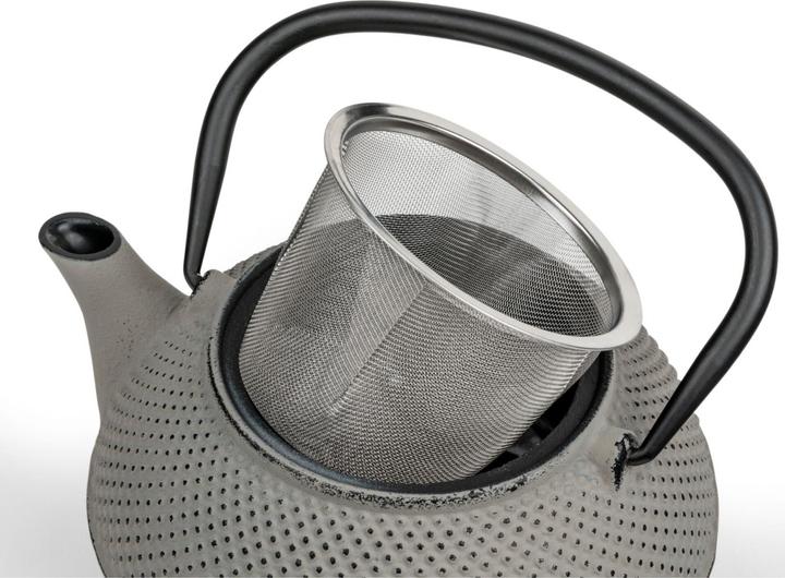 Image du produit Bredemeijer Teekanne Jang 0,8l Gusseisen grau + Filter 153022 (0.80 l)