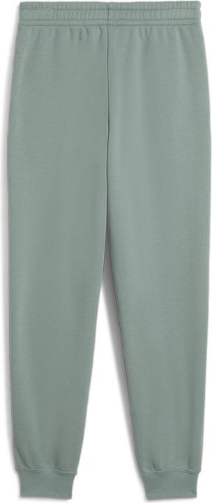 Actual product image Puma ESS 2 COLOR No. 1 Logo Sweatpants FL B (128)