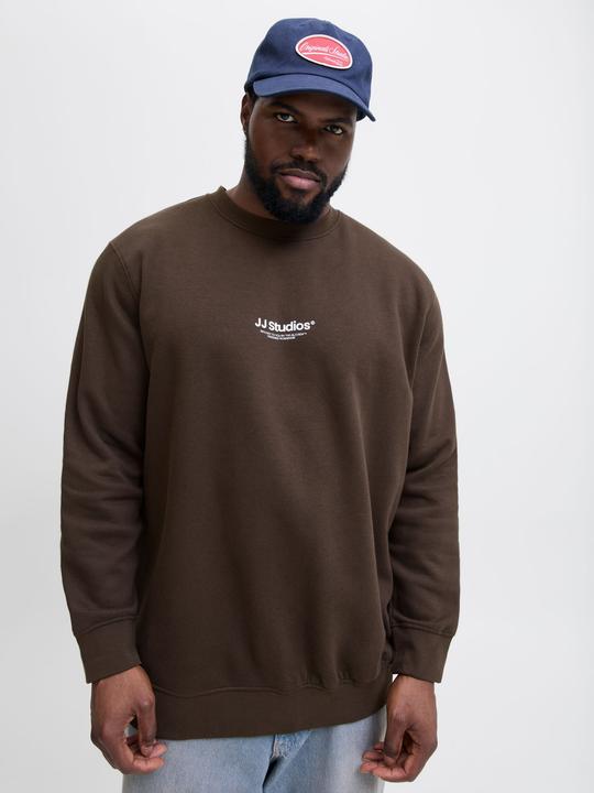 Actual product image Jack & Jones Plus Size Gedruckt Sweatshirt Sweatshirt (6XL)