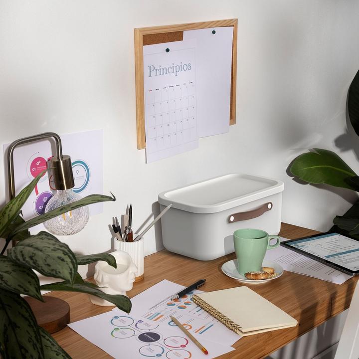 Actual product image Rotho Storage box Maloja 12 l, Iron Red (26.50 cm, 12 l, 1x)