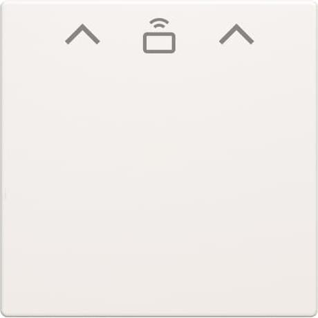 Actual product image Busch-Jaeger Cent.Sch.Card switch