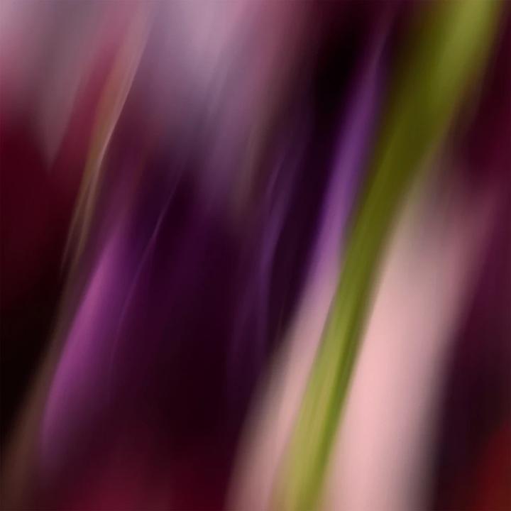 Produktbild Sisley d'Eliya Eau de Toilette (Eau de Toilette, 100 ml)