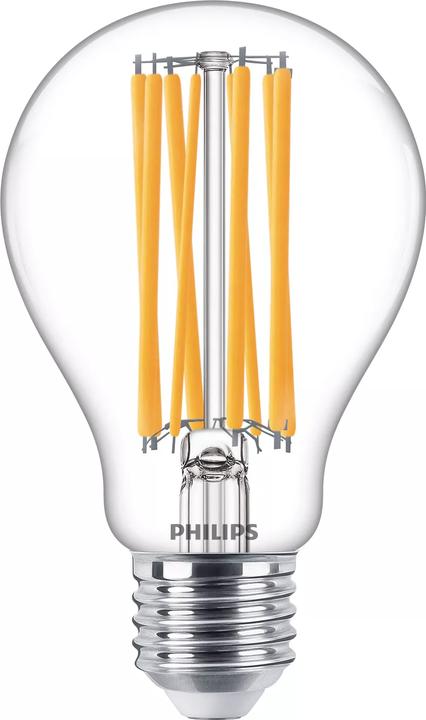 Actual product image Philips Lamp (E27, 2452 lm, 1x)