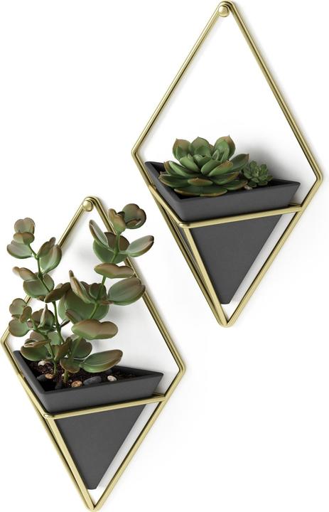 Actual product image Umbra Trigg Wall Display S (11.40 cm)