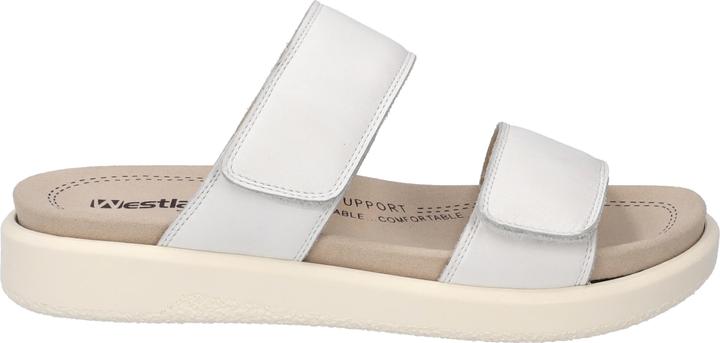 Actual product image Westland 25403-409 (41)