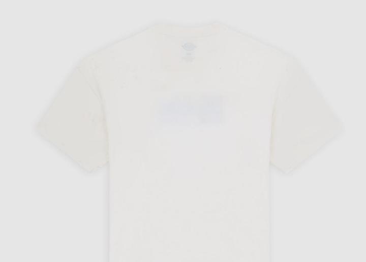 Produktbild Dickies Williston Tee SS (M)