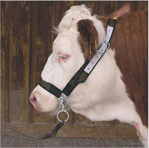 Productafbeelding Kerbl Koeienhalster met kinketting