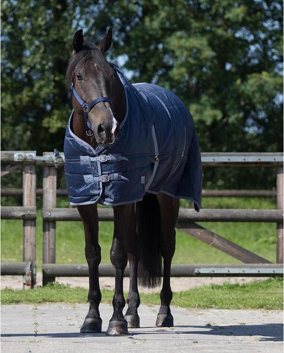 Actual product image Qhp stable blanket start 150 g (175 cm)