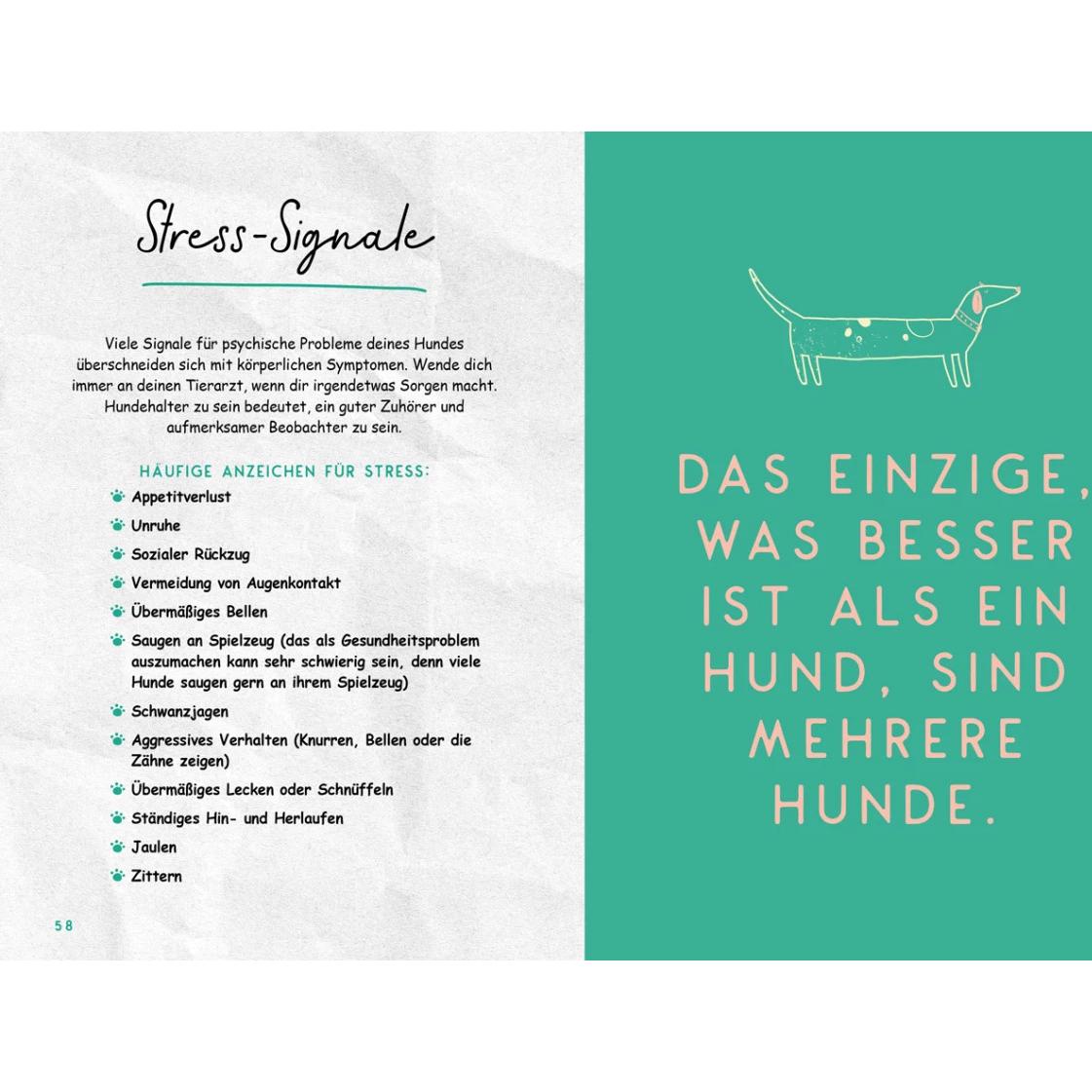 Thumbnail - Mein super Hund und ich, Ratgeber von Charlie Ellis