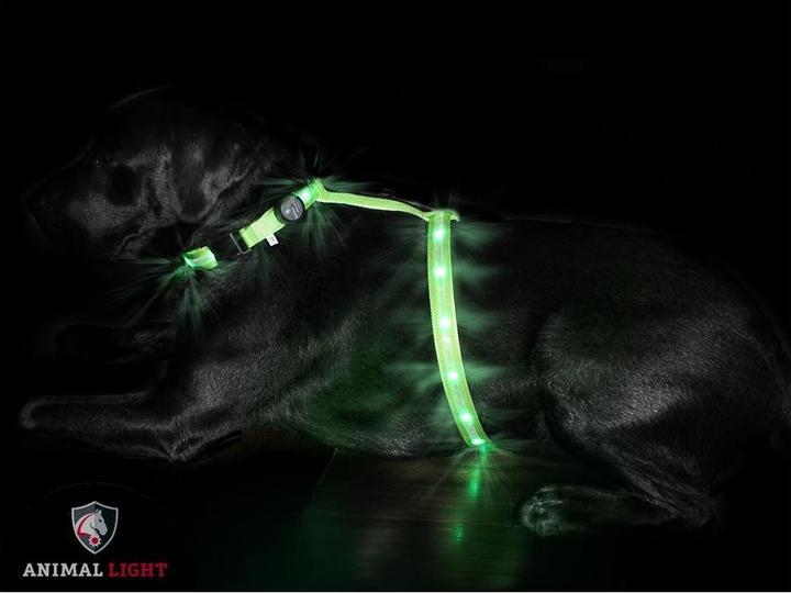 Actual product image Animal Light Luminous (S, Dog, General)