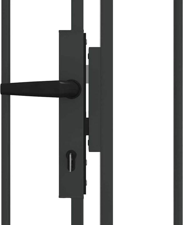 Image du produit vidaXL Gartentor