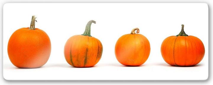 Immagine prodotto Trenddeko Varietà di zucca - Panorama (40 x 100 cm)