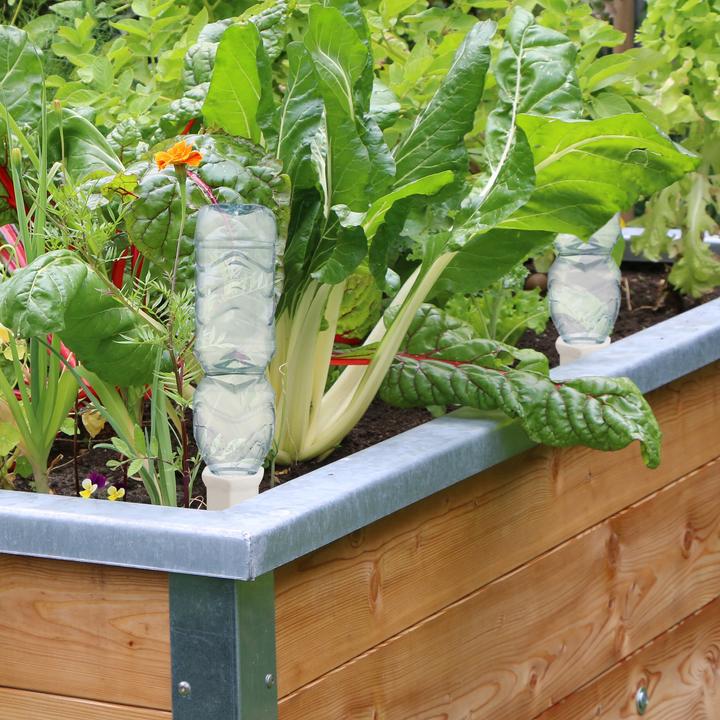 Actual product image Relaxdays Watering spikes (Clay cone)