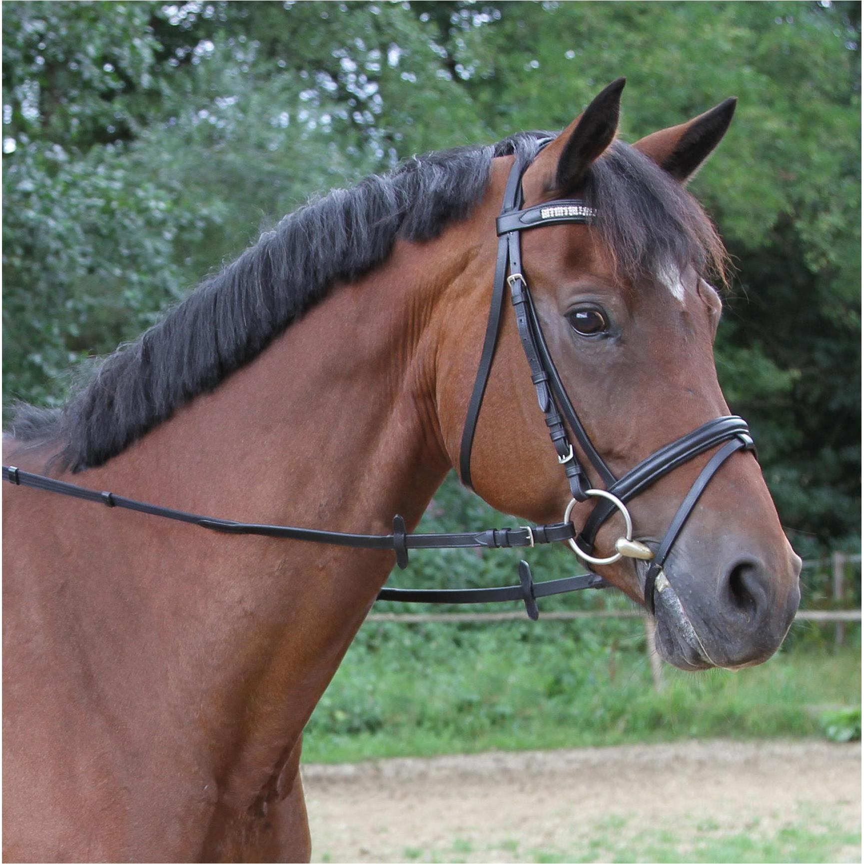 Kerbl Gurtzügel (323593)