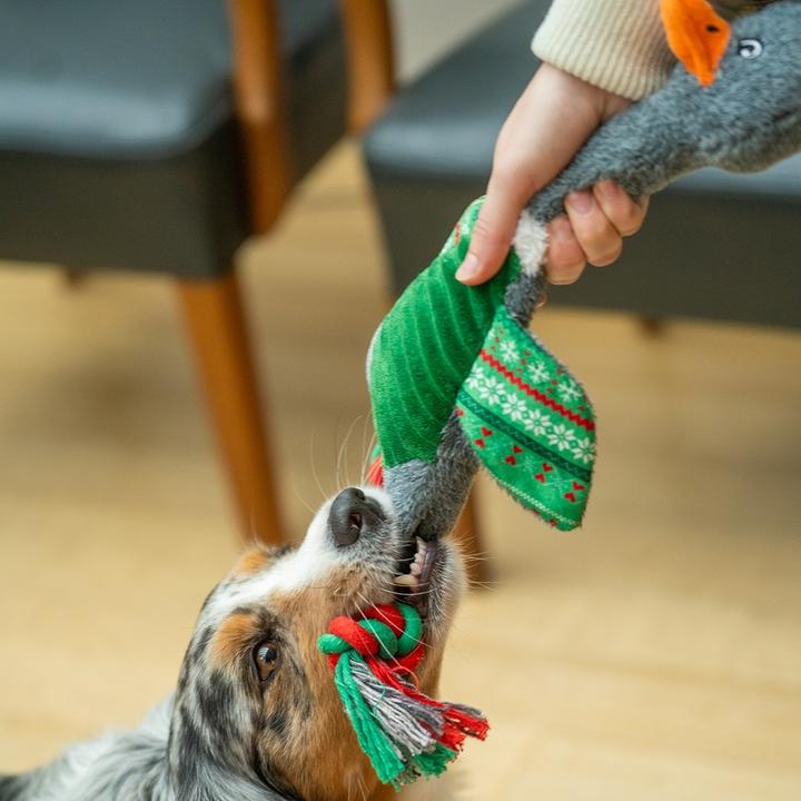 Actual product image Nobby Oie de Noël (Plush toy dog)