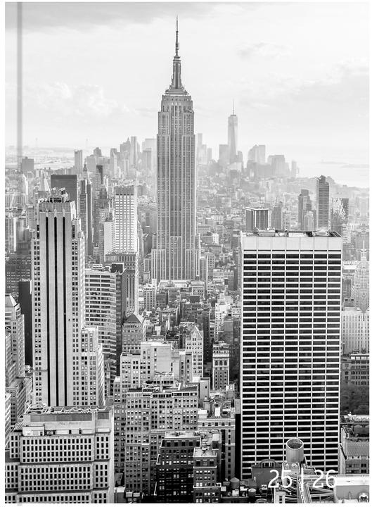 Noir, Gris