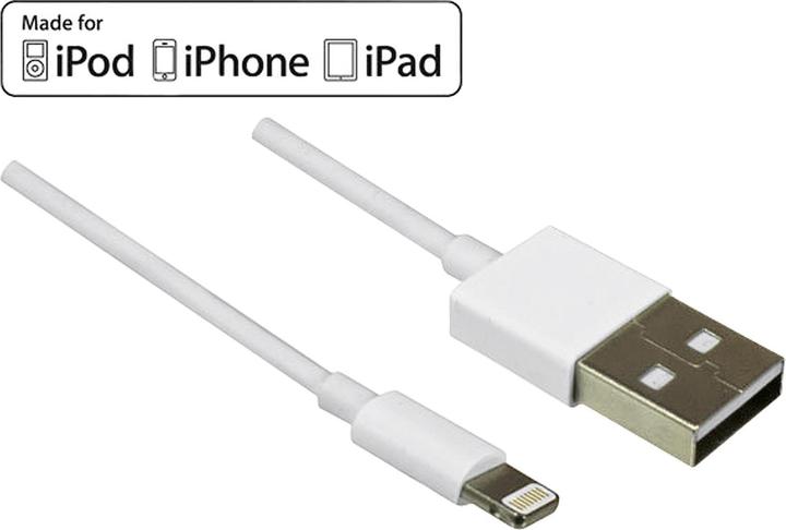 Actual product image Dinic Lightning cable 0.5m (0.50 m, USB 3.2 Gen 1)