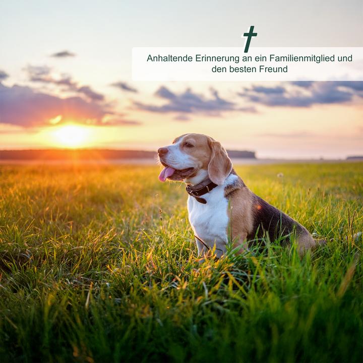 Produktbild Relaxdays Grabschmuck Hund