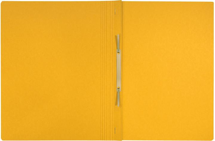 Image du produit Leitz Classeur à levier Recycle A4 jaune, 10 pièces (A4, 10x)