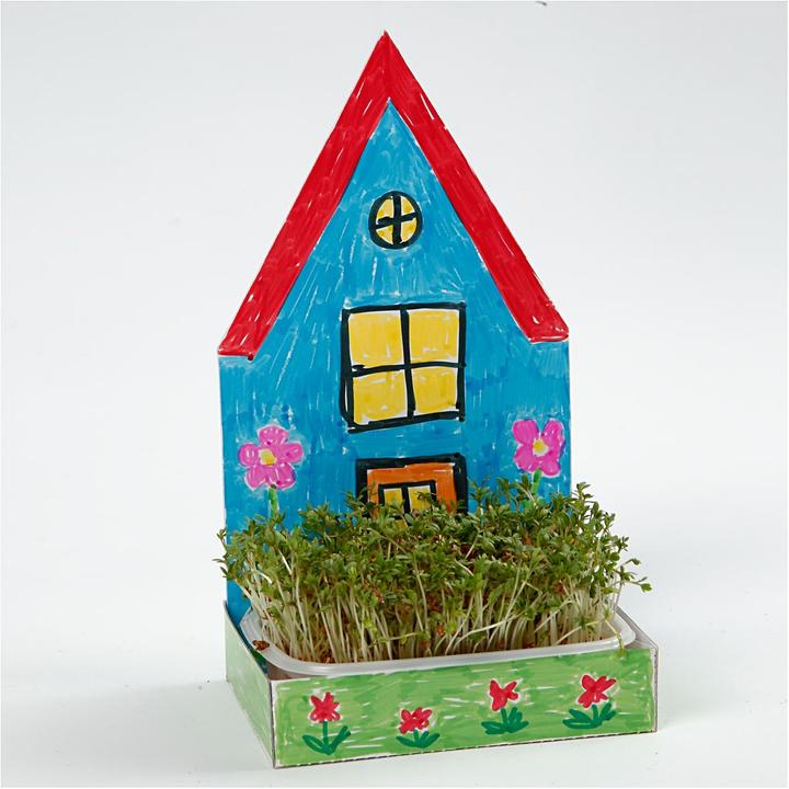 Produktbild Creativ Company 6 Sets, Höhe 20 cm, inkl. Samenbrett