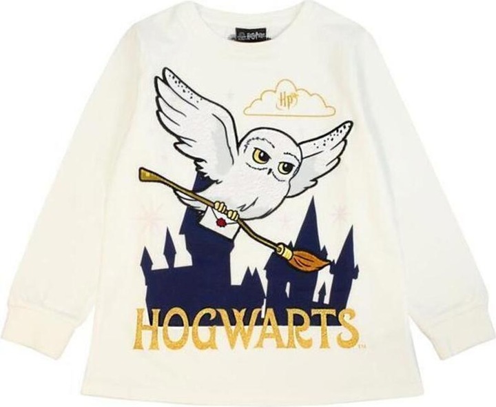Produktbild Hogwarts (146)