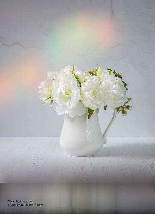 Produktbild Lensbaby OMNI Creative Filter Small System 49-58mm (49 mm)