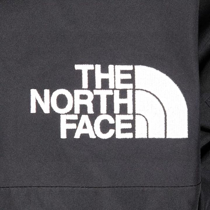 Produktbild North Face GTX Mountain-Jacke für Herren (L, M)