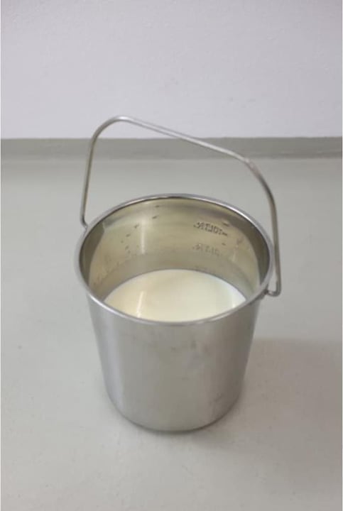 Image du produit Kerbl Seau en acier inoxydable