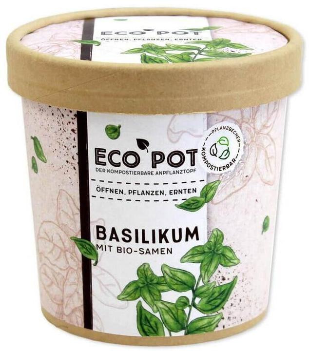 Produktbild Feel Green EcoPot Basilikum BIO (Gemüsesamen)