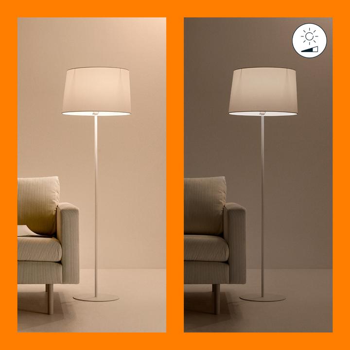 Image du produit WiZ Tunable White (E27, 8 W, 806 lm, 2 x, F)