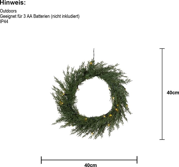Produktbild Star Trading Thuja