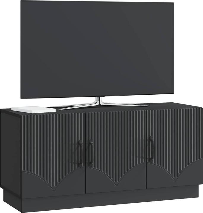 Image du produit vidaXL Unterhaltungszentrum (99 x 34.50 x 47 cm)