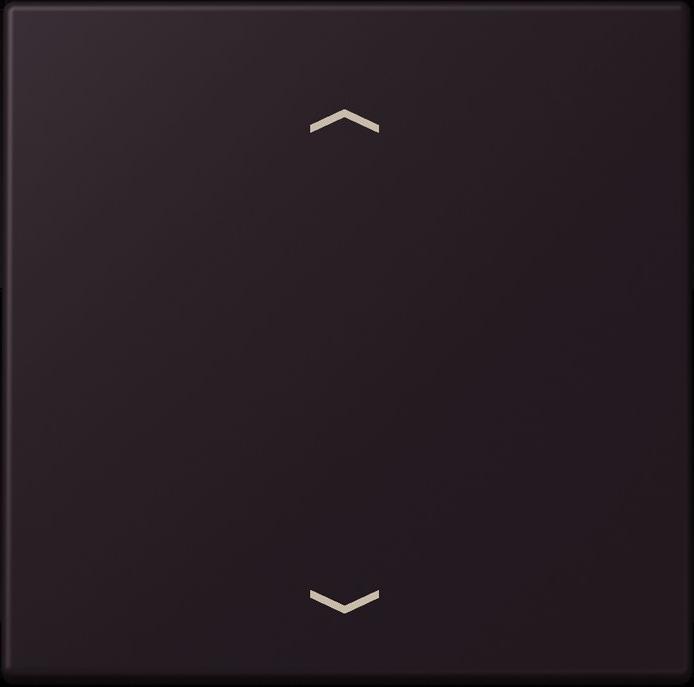 Produktbild JUNG Wippe 1fach m. Pfeilsymb.