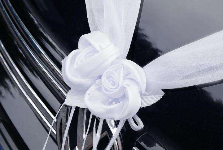 Immagine prodotto Partydeco Accessori per feste Decorazione auto Organza 1,8 m, 2 pezzi, bianco (2 pz.)
